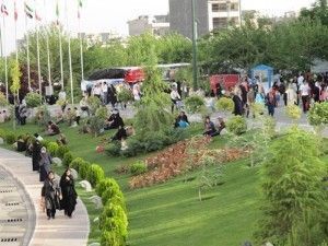 سرانه فضای سبز ایران نزدیک به نصف میانگین جهانی است