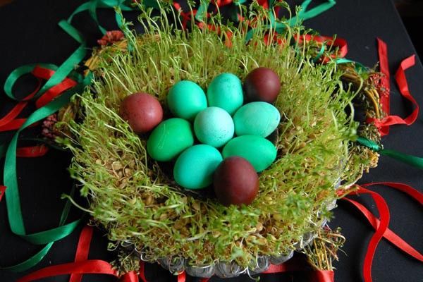 سبزه و تخم مرغ ارمنیان، جشن زادیک