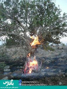آتش در پاساگارد، خرداد ۹۵