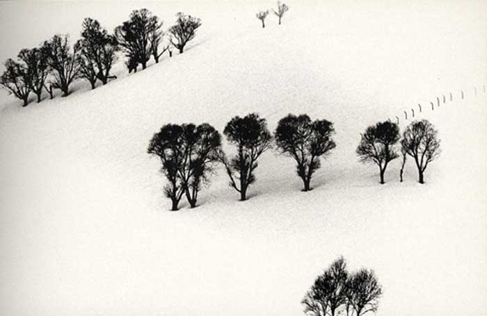 یکی از عکس‌های مجموعه برف از عباس کیارستمی 