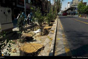 تخریب درختان خیابان ولیعصر (پهلوی سابق)