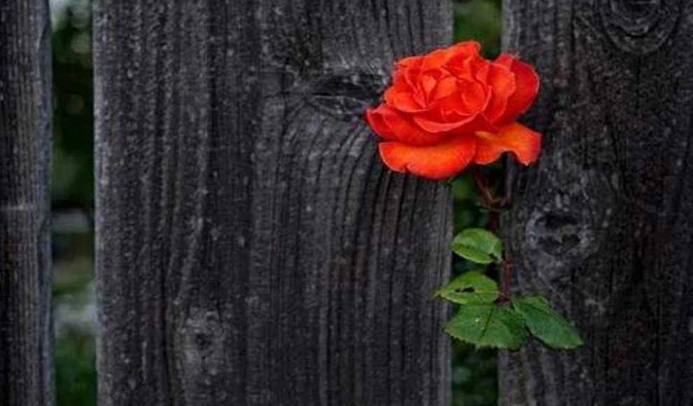 نقد گذشته، ساختن آینده؛ چرا امید برای ایران ضروری است