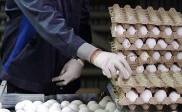 فاجعه گرانی و درآمدهای ناچیز در ایران؛ تخممرغ هم از سفره کارگران حذف شد
