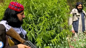 گزارش تحلیلی هفته؛ طالبان، مواد مخدر، سپاه پاسداران
