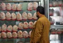 گرانی در بازارهای ایران میتازد؛ افزایش ۷۰ هزار تومانی قیمت هر کیلو مرغ طی یک هفته!