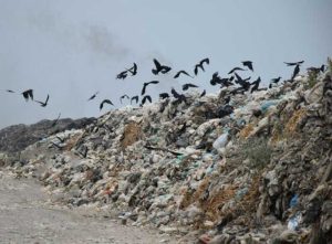 حجم زباله‌های برجای مانده از گردشگران در آستارا به مرز هشدار رسید