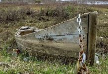 روز جهانی تالابها؛ شهروندان ایرانی قربانیان خاموش بحران ۱۱ تالاب خشک شده