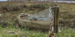 روز جهانی تالابها؛ شهروندان ایرانی قربانیان خاموش بحران ۱۱ تالاب خشک شده