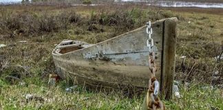 روز جهانی تالابها؛ شهروندان ایرانی قربانیان خاموش بحران ۱۱ تالاب خشک شده