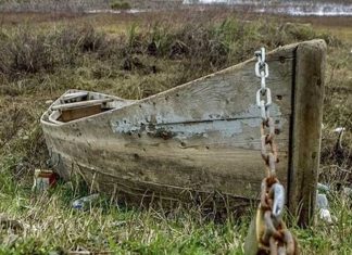 روز جهانی تالابها؛ شهروندان ایرانی قربانیان خاموش بحران ۱۱ تالاب خشک شده