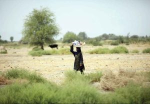 ۹۹ درصد جمعیت ایران درگیر خشکسالی هستند