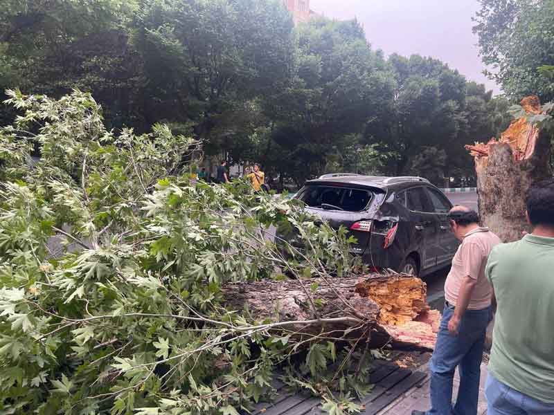 خسارت شدید توفان در تهران، پنجشنبه ۲۴ خردادماه ۱۴۰۳