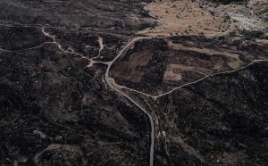 محیط زیست ایران خاکستر می‌شود؛ ۱۶۹ هزار میلیارد تومان خسارت آتش‌سوزی‌ جنگل‌ها در یک دهه گذشته