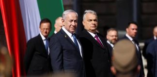 سقوط در تلهای خودساخته: تراژدی معکوس از مشارکت به انزوا