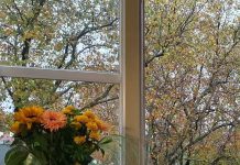 آخرین سرمقاله من؛ ققنوس ایران از خاکستر خود برخواهد خاست!