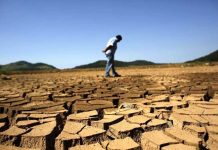 هشدار درباره بحران فرسایش خاک و تشدید خشکسالی در ایران