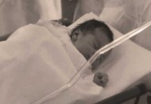 دوران محمدرضا شاهی؛ ولیعهد سلطنت مشروطه (صد سال پهلوی؛ ۱۳۰۴ تا ۱۴۰۴)