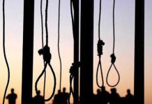 افزایش بیش از دو برابری آمار «اعدام» در ایران طی سال ۱۴۰۴