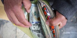 قیمت دلار آماده رسیدن به ۱۹۰ هزار تومان؛ شکست سیاستهای ارزی تیم اقتصادی پزشکیان؟