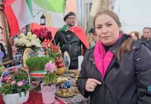 تحویل سال ۲۵۸۵ شاهنشاهی در کنار دیوار جاویدنامان محله گلدرز گیرین لندن