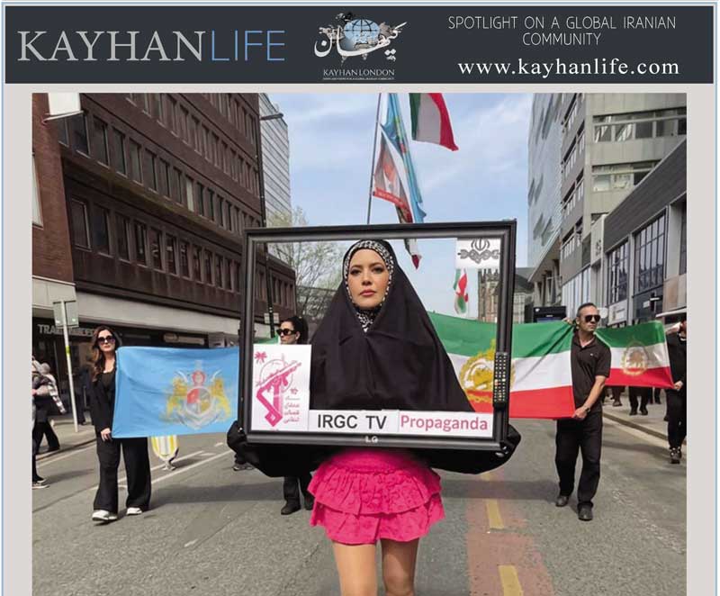 عکس هفته| پرستوی نظام!