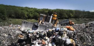 تکاندهنده و باورنکردنی؛ جنگلتراشی در استان گیلان برای دفن زباله!